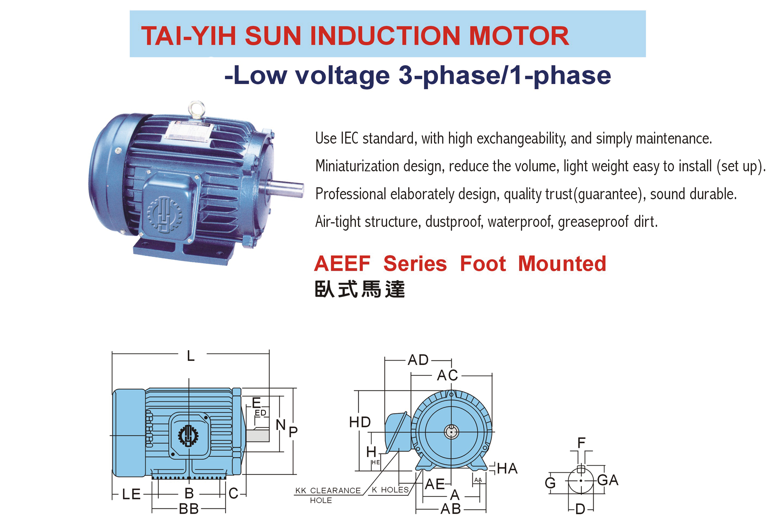 AEEF Series Foot Mounted AEEF