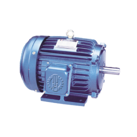 Induction Motor