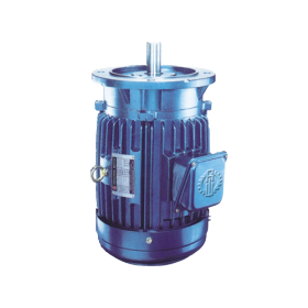 Induction Motor